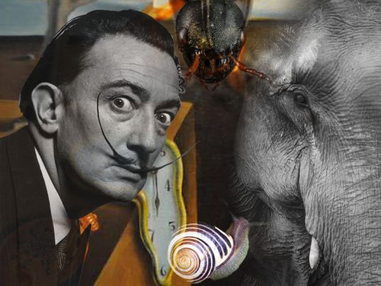 El simbolismo en la obra de Salvador Dalí